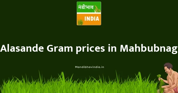 Alasande Gram price